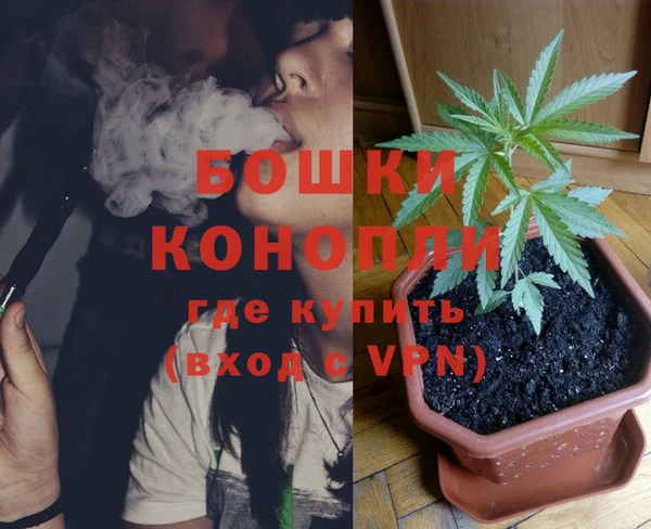 СК Новодвинск