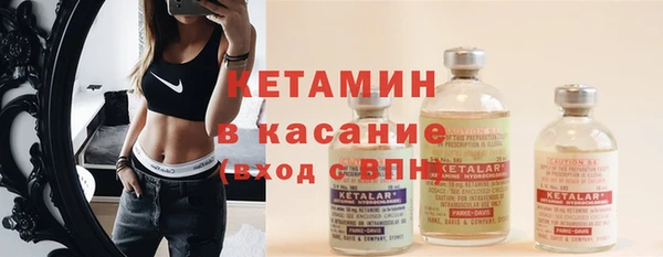 СК Новодвинск