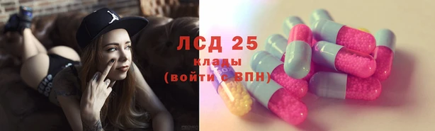 СК Новодвинск