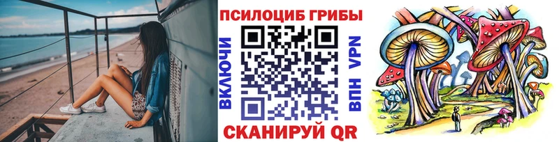 магазин продажи   Правдинск  Псилоцибиновые грибы Magic Shrooms 