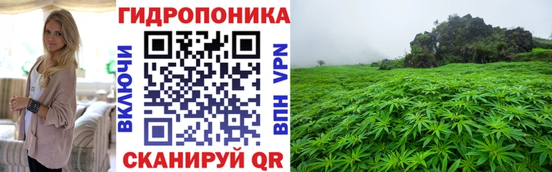 мега   закладка  Правдинск  Каннабис SATIVA & INDICA 